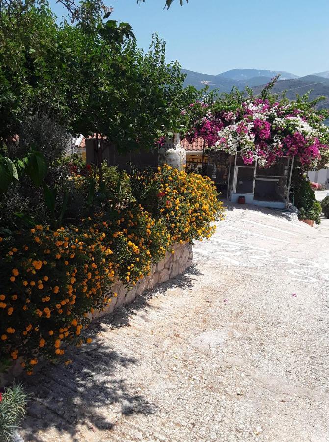 Apartmán Elenh House Argostoli  Exteriér fotografie