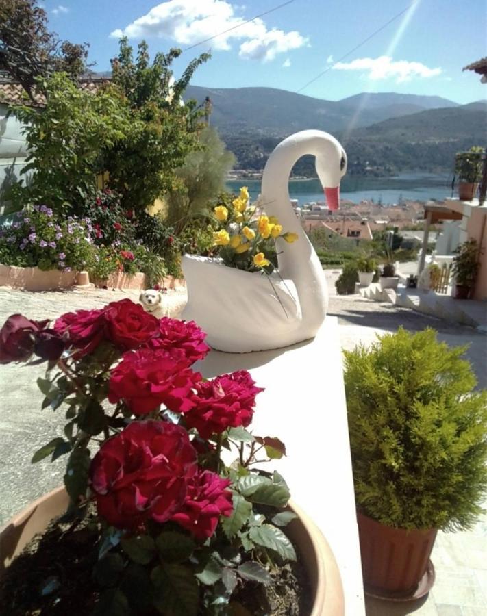 Apartmán Elenh House Argostoli  Exteriér fotografie