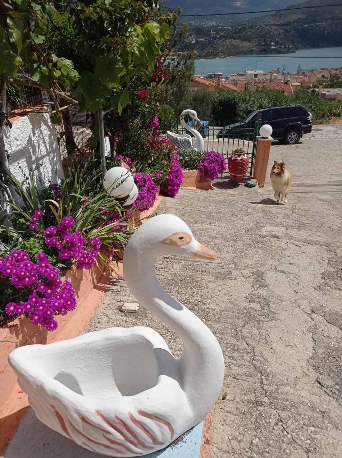 Apartmán Elenh House Argostoli  Exteriér fotografie