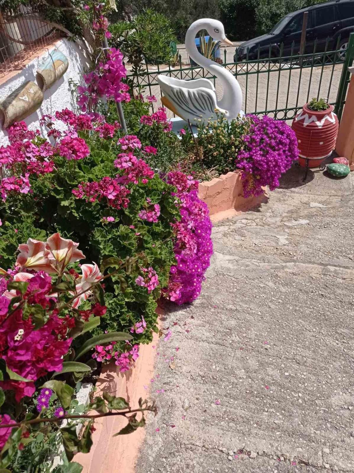 Apartmán Elenh House Argostoli  Exteriér fotografie